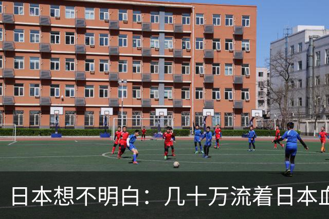 日本想不明白：几十万流着日本血的人，为什么死活不认同日本？